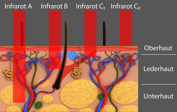 Profondeur de pénétration
